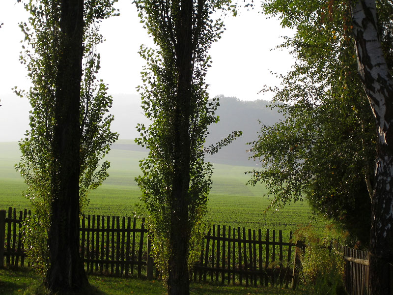 Herbststimmung