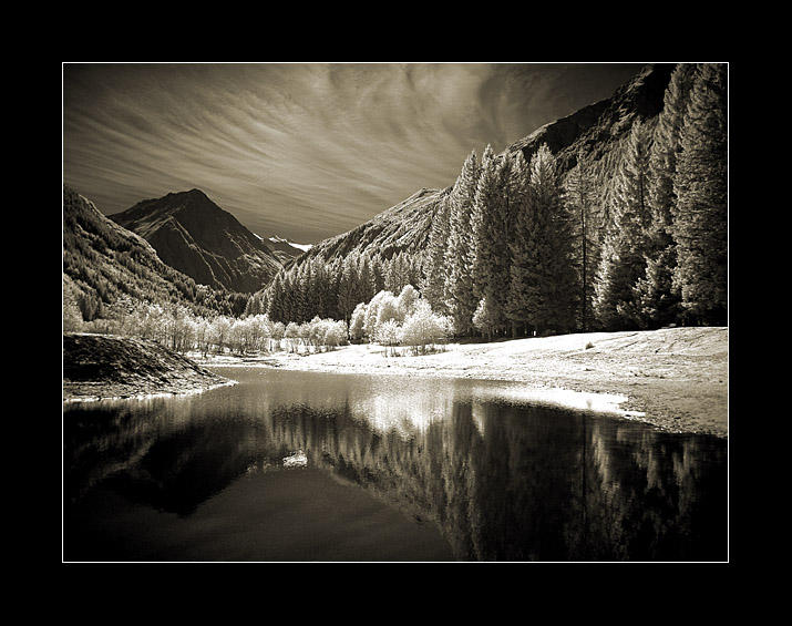 Schatten im dunklen See